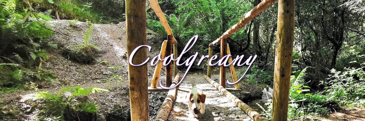 Ballyfad Wood Coolgreany