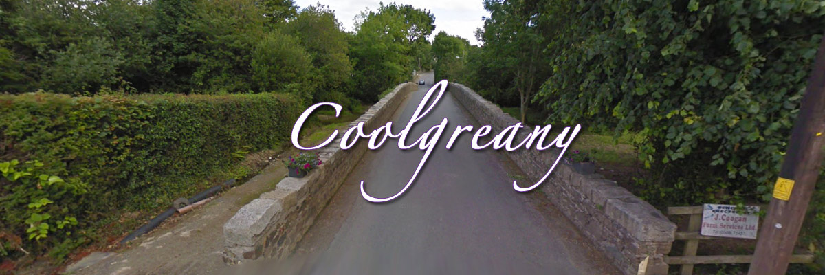Coolgreany Bridge