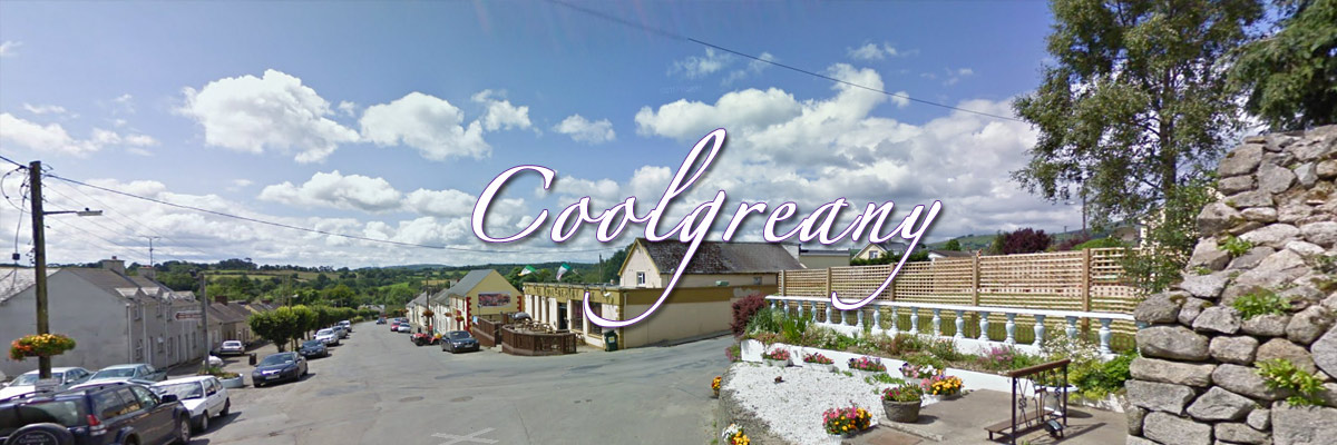 Coolgreany Main Street