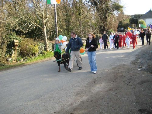 Patricks Day Coolgreany