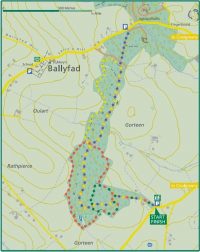 ballyfad-wood-walk-coolgreany