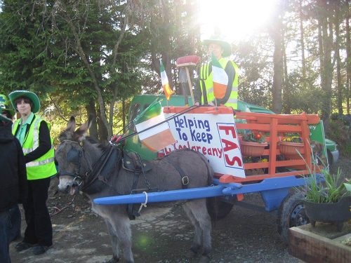 Coolgreany Saint Patricks Day Parade